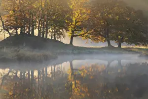Morning Prints: The River Brathay shrouded in early morning mist with reflections of autumnal trees