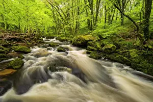 Photographic Effect Prints: River cascading through spring woodland, Golitha Falls, Cornwall, England, UK. May