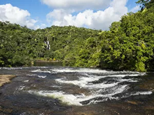 Images Dated 3rd September 2020: River in coastal rainforest, Mata Atlantica, Bahia, Brazil