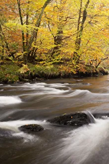 Time Exposure Prints: River Dart, near Newbridge, Dartmoor National Park, Devon, England, UK, November 2011
