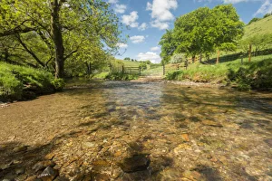 Uncatalogued Prints: River Exe, near Winsford, showing river correctly fenced to stop cattle from polluting the river