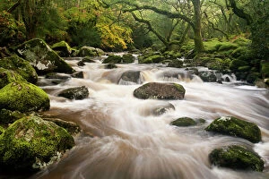 Movement Gallery: River Plym flowing fast through Dewerstone Wood, Shaugh Prior, Dartmoor National Park