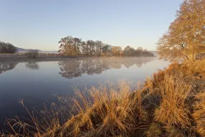Peaceful Prints: River Spey at dawn in spring, Cairngorms National Park, Scotland, March 2012