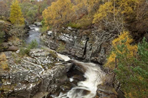 Images Dated 9th February 2012: River Tromie running through autumnal woodland, Glenfeshie, Cairngorms NP, Scotland