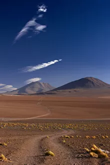 The road to Ojo de Perdiz, high on the altiplano, Bolivia, December 2009