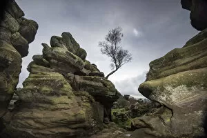 Images Dated 7th October 2016: Rock formations at Brimham Rocks created by variable erosion of soft and hard layers
