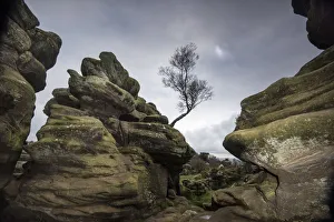 Gloomy Prints: Rock formations at Brimham Rocks created by variable erosion of soft and hard layers