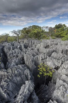 Rock formations at Tsingy Maeva, Ankarana NP, Madagascar