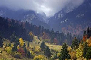 Images Dated 19th June 2009: Rock of the King, Piatra Craiului National Park, Transylvania, Southern Carpathian Mountains