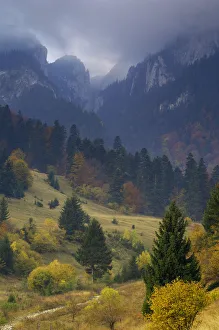 Images Dated 19th June 2009: Rock of the King, Piatra Craiului National Park, Transylvania, Southern Carpathian Mountains
