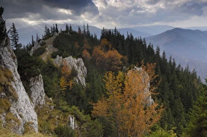 Images Dated 3rd September 2018: Rocky limestone area La Zaplaz, Piatra Craiului National Park, Transylvania