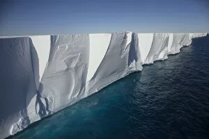 Antarctic Ocean Gallery: Ross Ice Shelf, the largest ice shelf of Antarctica, near Cape Crozier, Ross Island