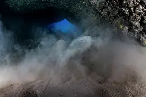 Rays Prints: Round stingray (Taeniura grabata) disturbing the sandy seabed as it swims towards the entrance to an underwater cave