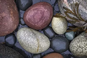 Rounded stones and seaweed on rocky shore. Isle of Skye, Inner Hebrides, Scotland