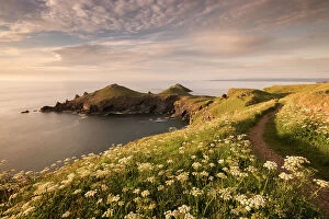 Images Dated 23rd June 2015: The Rumps, Pentire Head, late evening light with the Devon Coastal Path, Polzeath, Cornwall, UK