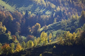 Shadows Collection: Rural landscape in autumn, Piatra Craiului National Park, Transylvania, Southern