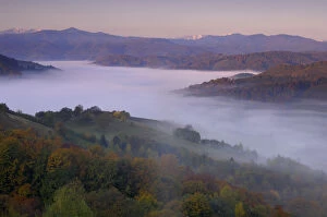 Rural landscape at dawn with low lying mist in valley, near Zarnesti, Transylvania