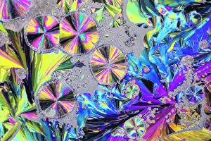 Crystals Prints: Salicine (Molecular Formula C17H20N2O) an antique microscope slide