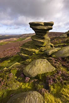 The Salt Cellar, a famous gritstone outcrop surrounded by flowering heather. Derwent Edge