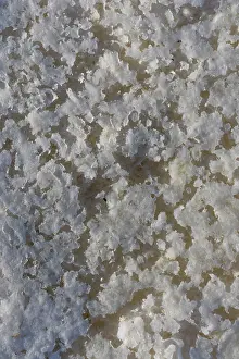 Mexico Prints: Salt deposit, Laguna del Indio, Baja California, Mexico. October, 2018