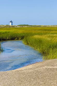 Phil Savoie Collection: Salt marsh cord grass (Spartina alterniflora) on shore of Cape Cod, with Long Point