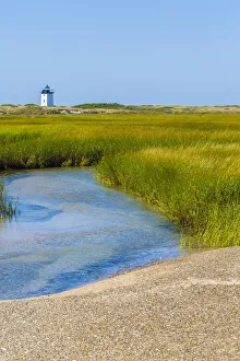 Salt marsh cord grass (Spartina alterniflora) on shore of Cape Cod, with Long Point