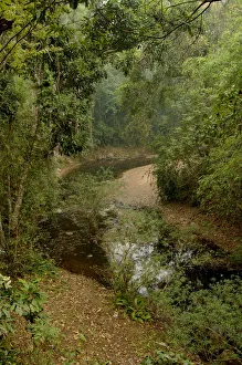 Sancha River flowing through tropical rainforest in dry season. Wild Elephant Valley Sancha River flowing through tropical rainforest in dry season. Wild Elephant Valley