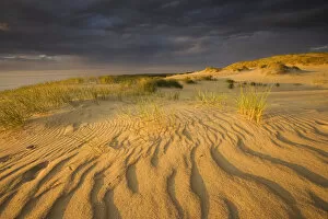 Wild Wonders of Europe 2 Gallery: Sand dunes on Agilos Kopa, Nagliai Nature Reserve, Curonian Spit, Lithuania, June 2009