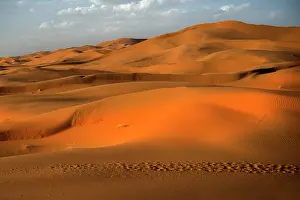 Golden Prints: Sand dunes, Erg Chebbi desert. Merzouga, Morocco. May, 2015