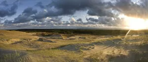 Images Dated 11th December 2009: Sand dunes in evening light, Nagliai Nature Reserve, Curonian Spit, Lithuania, June 2009