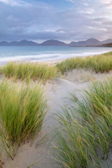 Ross Hoddinott Collection: Sand dunes, marram grass (Ammophila arenaria) and beach at sunrise, Luskentyre, Isle of Harris