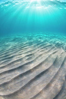 Cool Coloured Coasts Collection: Sand ripples on seabed and sun burst in shallow, clear water