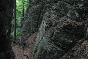 Jesper T Nning Prints: Sandstone formation in a European beech forest (Fagus sylvatica) Beaufort, Mullerthal