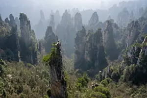Sandstone Prints: Sandstone pillars at the Zhangjiajie National Forest Park, Wulingyuan Scenic area
