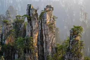 Sandstone Prints: Sandstone pillars at the Zhangjiajie National Forest Park, Wulingyuan Scenic area