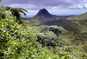 Pteridophytina Prints: Santa Cruz Island highlands with Puntudo spatter cone and lush vegetation with Cyathea treeferns