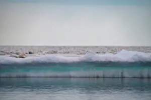 Arctic Ocean Prints: Sea ice breaking up and melting in spring