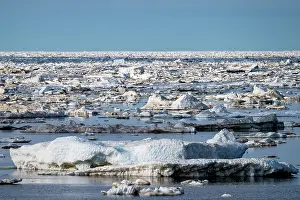 Spring Prints: Sea ice breaking up and melting in spring
