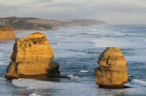 Images Dated 19th January 2021: Sea stacks on coast in evening light. Twelve Apostles, Port Campbell National Park