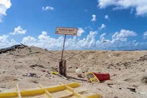 Environmental Issues Prints: Sea turtle nesting sign on beach