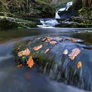 Sgwd Isaf Clun-gwyn waterfall and rapids. Ystradfellte, Brecon Beacons National Park