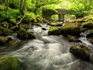 Flowing Water Collection: Shaugh Bridge in early spring, Shaugh Prior, near Plympton, Dartmoor National Park, Devon, UK