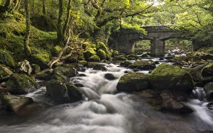 Images Dated 15th September 2016: Shaugh Prior, bridge and River Plym, Dartmoor National Park, Devon, UK. September 2016