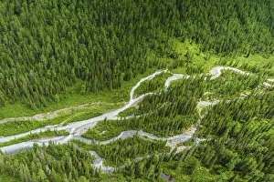 Shavla River (named from the Altai word shaal - meaning young tree