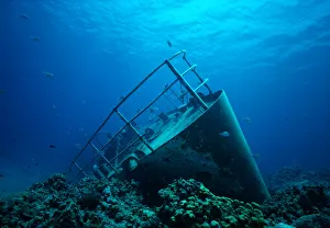 Transportation Prints: Shipwreck of the small freighter Ora Verde that sank in 1980, Grand Cayman Island