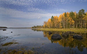 Images Dated 28th October 2009: Shores of an inlet of the White Sea, Karelia, N Russia, September 2007