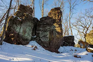 Siberian tiger (Panthera tigris altaica) walking past rocky outcrop in snowy forest, Land of the Leopard National Park, Russian Far East. Endangered. Taken with remote camera. December