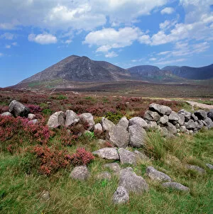 UK Wildlife August Gallery: Slieve Lamagan from Annalong track, Mourne Mountains, County Down, Northern Ireland, UK