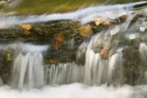 Images Dated 5th October 2008: Small cascade on travertine, Galovac barrier, Upper Lakes, Plitvice Lakes NP Croatia