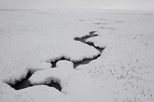 Small stream flowing through snow covered landscape, Forollhogna National Park, Norway
